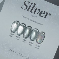 프롬더네일 실버 자석젤 5종 단품 (택1) / 글리터 마그네틱 젤네일