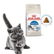 로얄캐닌 4kg 인도어 캣 고양이 사료, 1개