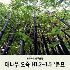 d8b5be9c4751cd80120a6919b8b232a7c5a6fc3fcd2276fc597fff830faa.jpg