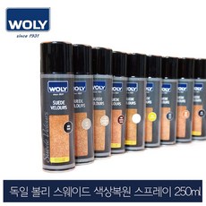 볼리 독일 스웨이드 색상복원제 250ml, 블랙