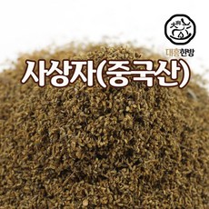 대흥한방 사상자 300g 중국산, 1개