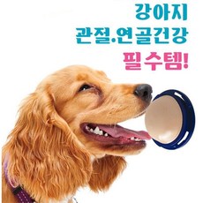 벽에 붙여 햝아먹는 강아지사탕 훈련용(L) 시츄간식