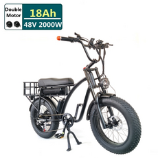 엘파마벤토르v2000