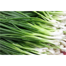쪽파 깐쪽파 잔파 실파 흙쪽파 다듬은쪽파, 2세트, 900g