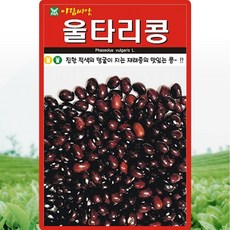 아람종묘 울타리콩 씨앗 30g 넝쿨성 재래종 울타리콩씨 종자