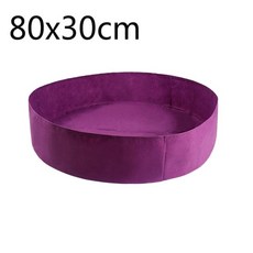 햇빛아래식물등