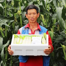 충북 괴산 장연 대학 찰 옥수수 중품 30개 대품 30개 급냉, 괴산 대학 찰 옥수수 중품 30개