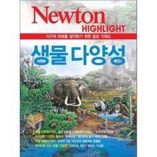 뉴턴하이라이트중고