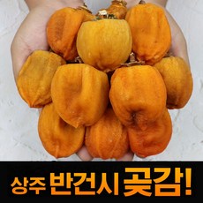 명품 상주 반건시 곶감, 1박스, 대과 40입