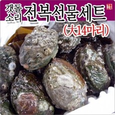 직접키운 완도참전복 선물세트 大 14마리 완도