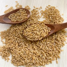 이집트 쌀 호라산 밀, 4kg(1kg + 4팩)