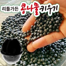 리틀가든콩나물