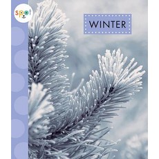 Winter Paperback, Amicus Ink, English, 9781681523910
