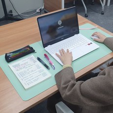 양면 가죽 장패드 데스크매트 민트그린