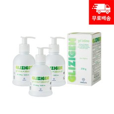 글리지젠 인티메이트 겔 청결제 250ml 3p, 3개