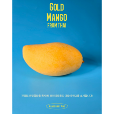 [최저가] 최상급 태국 골드망고 남독마이 망고 항공직송, 12개, 4KG