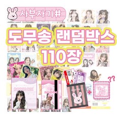 사부자기샾 아이브 비공굿 도무송 랜덤박스, A(110장)