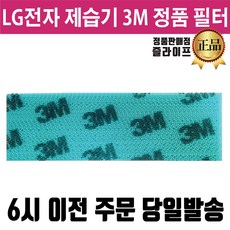 LG 휘센 제습기 정품 3M 필터 (즐라이프 거울 포함)