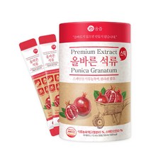 원데이석류스틱