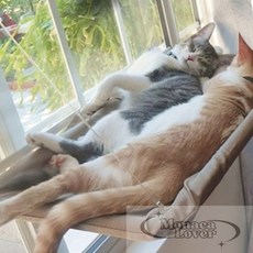 고양이 해먹침대 창틀고정 창문해먹, 아이보리