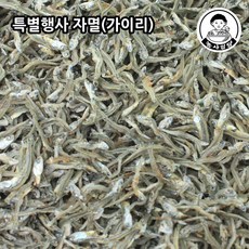 삼천포멸치