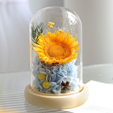 영생화 해바라기 선물세트포장 유리돔 완제품 여자친구 선물 장식 무드등