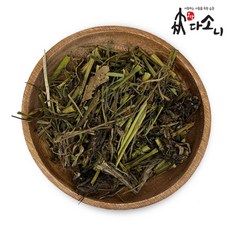 천기저귀애기똥풀