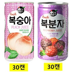 참맑은(복숭아캔 복분자캔), 60개, 175ml