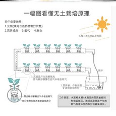 경기도버섯농장