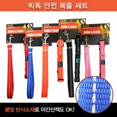 빅독치킨