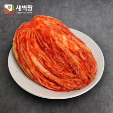 수입김치10kg-추천-상품