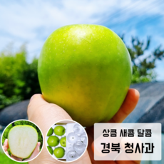 [새콤 달콤 상큼] 아오리사과 청사과 썸머킹, 가정용, 중과 2kg(07-09과), 1개