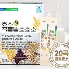 충북인삼농협 효소N 곡물발효효소 3g x 100포, 300g, 1개