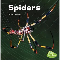 Spiders Hardcover, Capstone Press