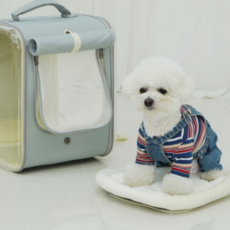 강아지 가방 고양이 백팩 투명 이동가방 내부 쿠션 하드평판 메쉬, 다크그레이, 1개