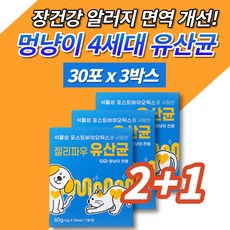  반려견 반려묘 애견 개 강아지 고양이 식물성 유산균 장도착 프로바이오틱스 포스트바이오틱스 식이섬유 북어분말 휴먼그레이드 장 면역 알러지 영양제 아연, 3박스 