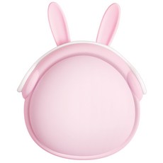 에이미로크