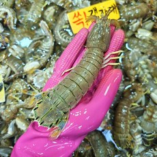 냉동 갯가재 1kg 20-25미 수율70%, 1세트