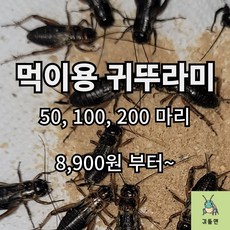 귀뚜라미 소량 파충류 먹이용 쌍별귀뚜라미 소 중 대 도마뱀먹이 10 20 30 50 100