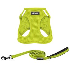Best Pet Supplies 스텝인 에어 강아지 하, S (Chest: 14.5 - 16"), 하네스 목줄 번들 (라임 그린 투톤 색상)