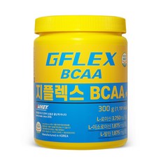 지웨이 지플렉스 BCAA 아미노산 보충제, 1개, 300g