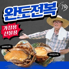 대왕전복