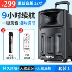 캐리어가라오케