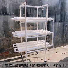 별내팜스쿨