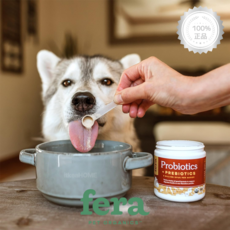  페라 강아지 미국 유기농 유산균 프로바이오틱스 영양제 반려견 소화 면역 장 건강 변비, 기본, 기본 