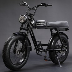 전기자전거 C2 접이식 전기 자전거 250W 36V 15Ah MTB 산악 성인용 야외 지방 Ebike 팻, 01 989, 한개옵션1