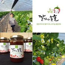 딸기가 솔솔 딸기잼, 1개, 500g