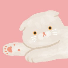 냐냐온스튜디오