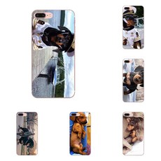 9b9693c6338193d9d6cd4ad05f053b972d49886c8519a3eed2137984c766.png