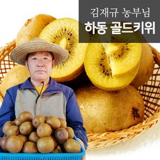 [참다올] 하동 맛있는 GAP 인증 골드키위 5kg (41-50개), 5개, 상세 설명 참조